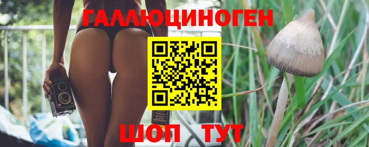 где купить наркоту  Галлюциногенные грибы Cubensis  Вход с VPN  Красноармейск 